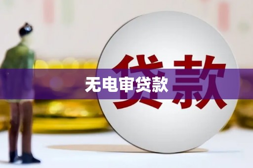 定兴无电审贷款