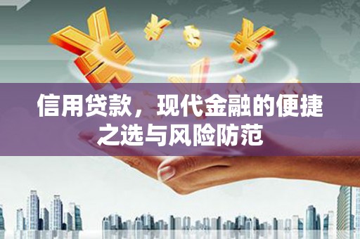 定兴信用贷款，现代金融的便捷之选与风险防范