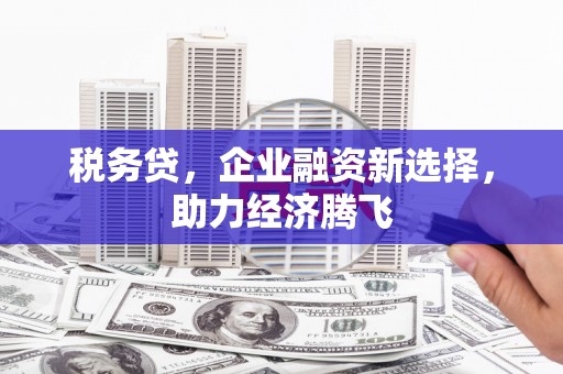定兴税务贷，企业融资新选择，助力经济腾飞