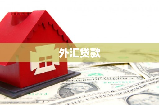 定兴外汇贷款