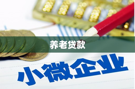 定兴养老贷款