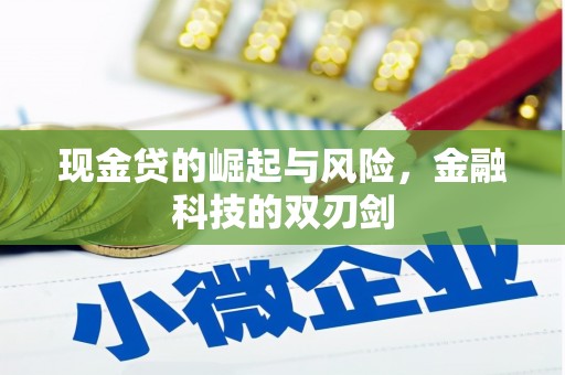 定兴现金贷的崛起与风险，金融科技的双刃剑