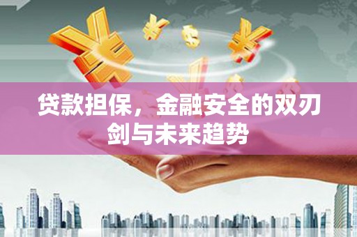 定兴贷款担保，金融安全的双刃剑与未来趋势