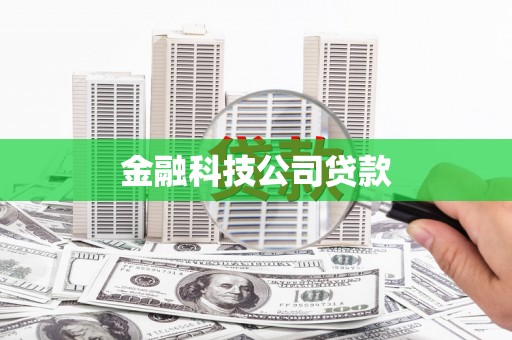 定兴金融科技公司贷款
