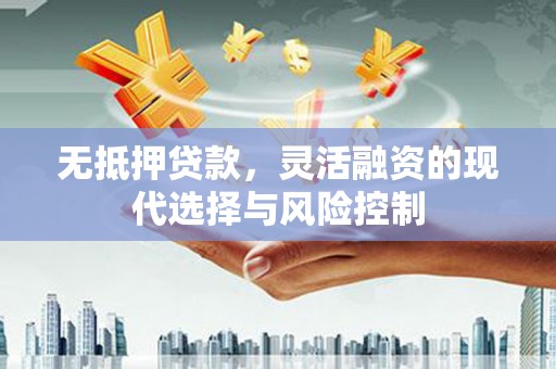 定兴无抵押贷款，灵活融资的现代选择与风险控制
