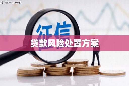 定兴贷款风险处置方案