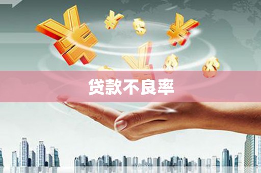 定兴贷款不良率