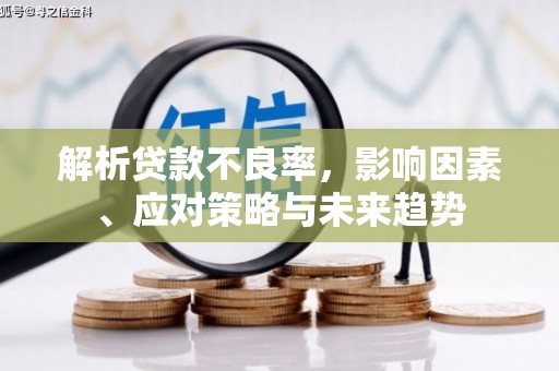 定兴解析贷款不良率，影响因素、应对策略与未来趋势