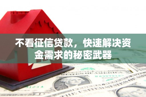 定兴不看征信贷款，快速解决资金需求的秘密武器