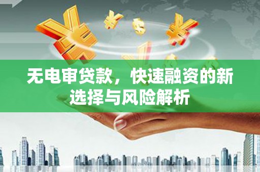 定兴无电审贷款，快速融资的新选择与风险解析