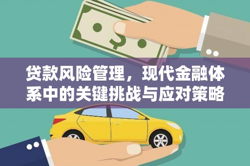 定兴贷款风险管理，现代金融体系中的关键挑战与应对策略