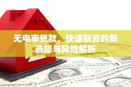 定兴无电审贷款，快速融资的新选择与风险解析