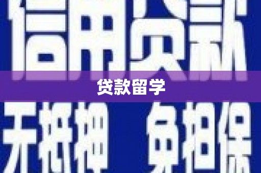 定兴贷款留学