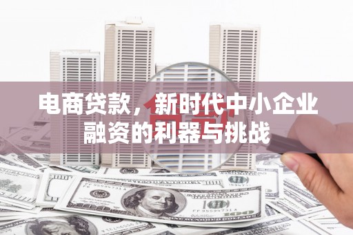 定兴电商贷款，新时代中小企业融资的利器与挑战