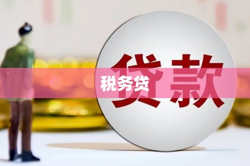 定兴税务贷