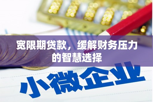 定兴宽限期贷款，缓解财务压力的智慧选择