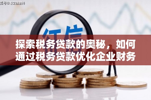定兴探索税务贷款的奥秘，如何通过税务贷款优化企业财务