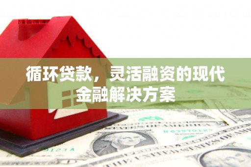 定兴循环贷款，灵活融资的现代金融解决方案