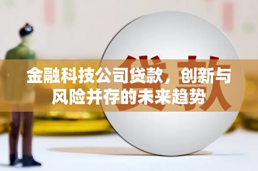 定兴金融科技公司贷款，创新与风险并存的未来趋势