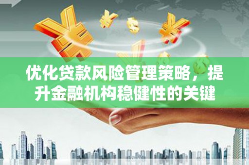定兴优化贷款风险管理策略，提升金融机构稳健性的关键