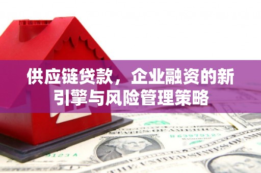 定兴供应链贷款，企业融资的新引擎与风险管理策略