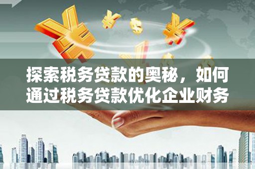 定兴探索税务贷款的奥秘，如何通过税务贷款优化企业财务