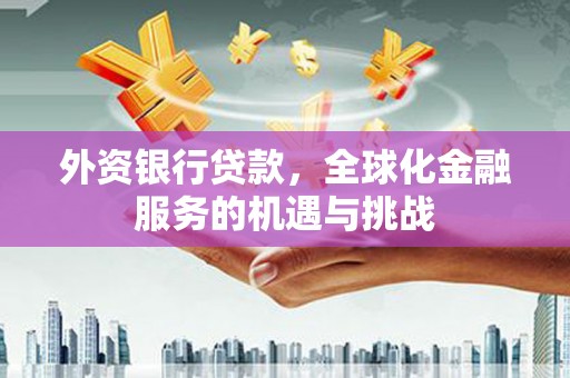 定兴外资银行贷款，全球化金融服务的机遇与挑战