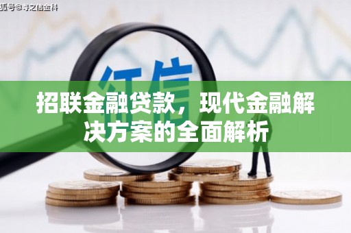 定兴招联金融贷款，现代金融解决方案的全面解析