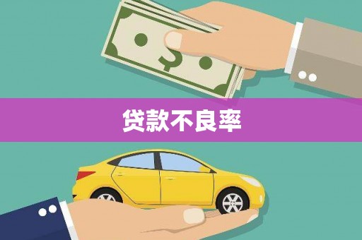 定兴贷款不良率