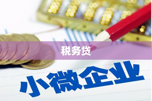 定兴税务贷