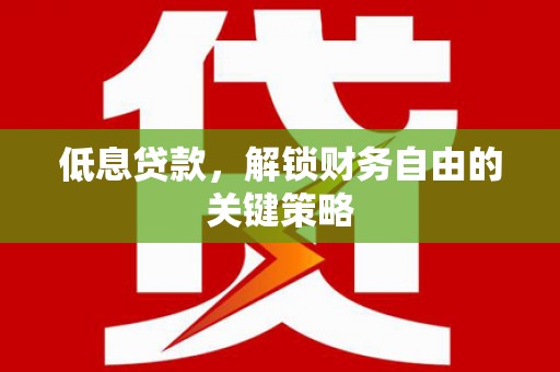 定兴低息贷款，解锁财务自由的关键策略