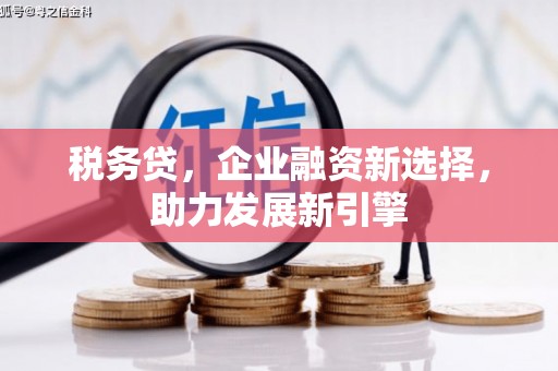 定兴税务贷，企业融资新选择，助力发展新引擎