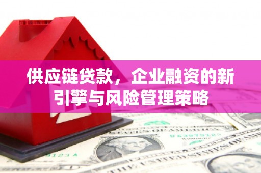 定兴供应链贷款，企业融资的新引擎与风险管理策略