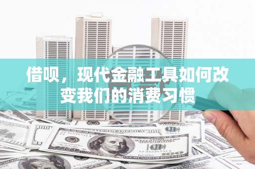 定兴借呗，现代金融工具如何改变我们的消费习惯
