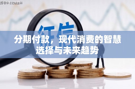 定兴分期付款，现代消费的智慧选择与未来趋势