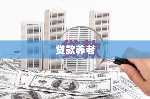 定兴贷款养老