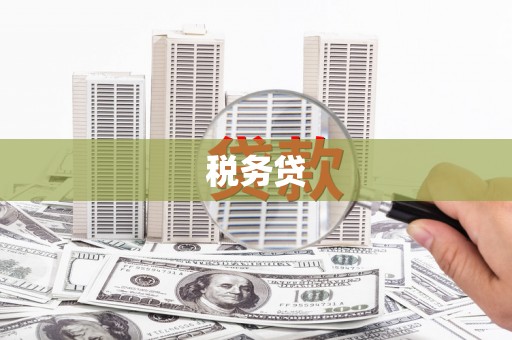 定兴税务贷