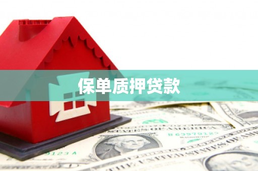定兴保单质押贷款