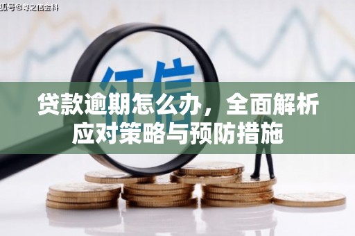定兴贷款逾期怎么办，全面解析应对策略与预防措施