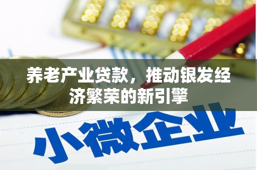 定兴养老产业贷款，推动银发经济繁荣的新引擎