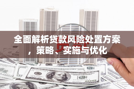 定兴全面解析贷款风险处置方案，策略、实施与优化