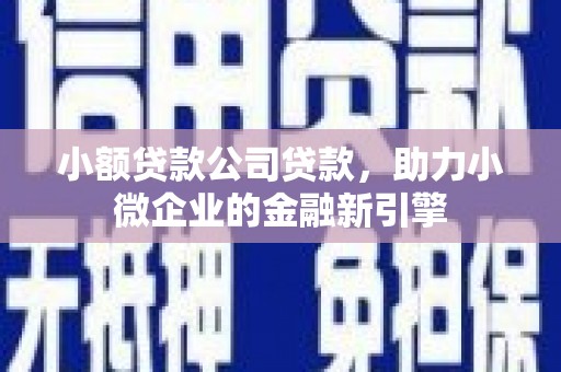 定兴小额贷款公司贷款，助力小微企业的金融新引擎