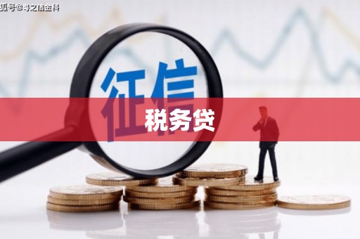 定兴税务贷