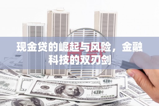 定兴现金贷的崛起与风险，金融科技的双刃剑