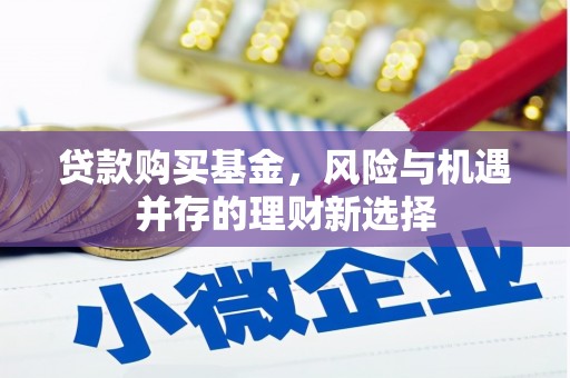 定兴贷款购买基金，风险与机遇并存的理财新选择