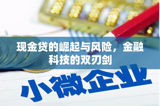 定兴现金贷的崛起与风险，金融科技的双刃剑