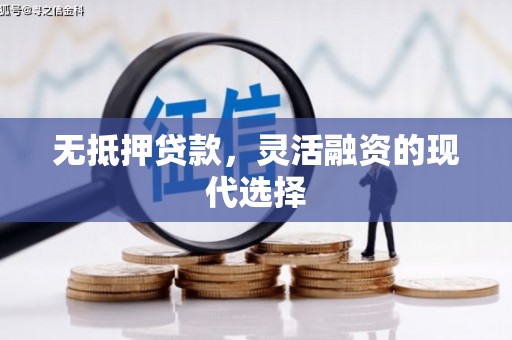 定兴无抵押贷款，灵活融资的现代选择