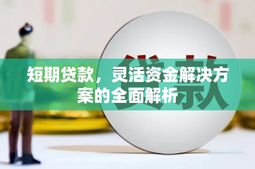 定兴短期贷款，灵活资金解决方案的全面解析