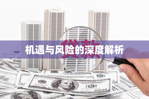 定兴机遇与风险的深度解析