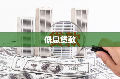 定兴低息贷款